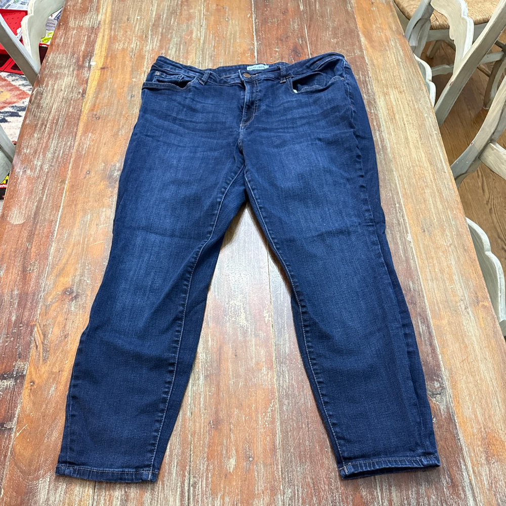 Warp + Weft Blue Skinny Jeans New York City JFK Size 18